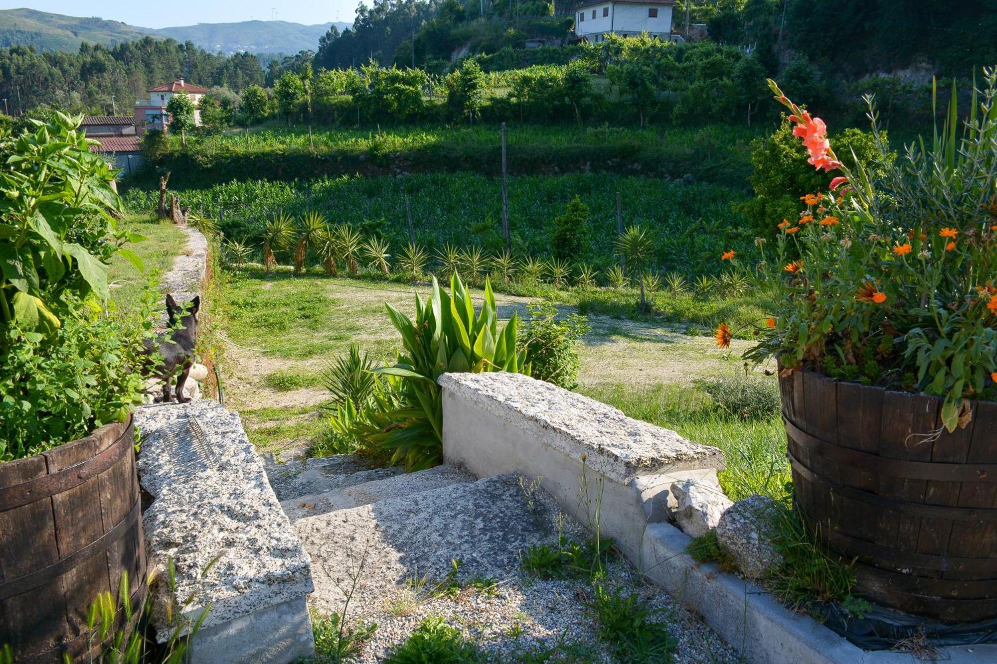 فيلا Quinta Do Bairro فييرا دو مينهو المظهر الخارجي الصورة